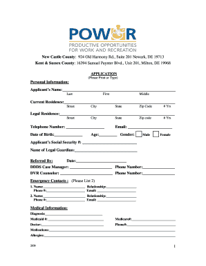 Delaware Disability Services Application