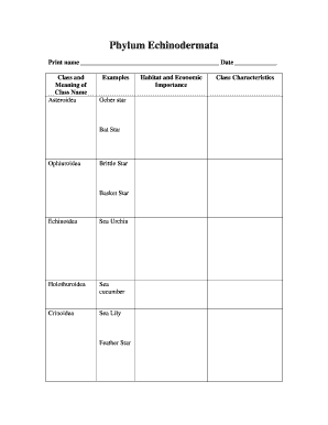 Echinodermata Classification Worksheet