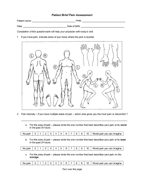 Patient Brief Pain Assessment Form