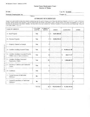 US Bankruptcy Court Form B6 Summary