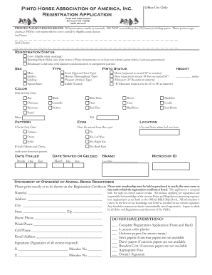 Pinto Horse Registration Application