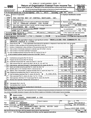 IRS Form 990 2013