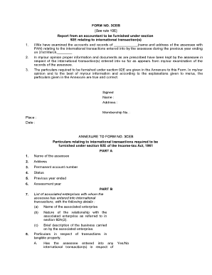 Form 3CEB Report from Accountant