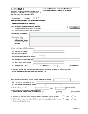Cost Audit Report Form I