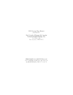 2010 Form 990 Exempt Organization Return