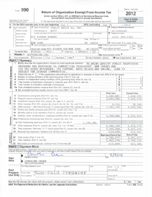 IRS Form 990 2012