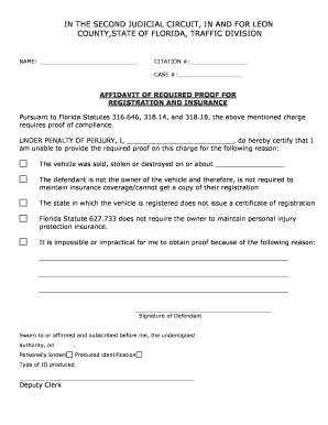 Florida Traffic Affidavit of Required Proof