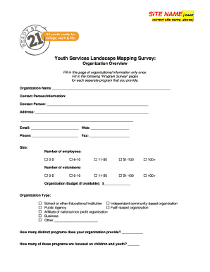 Youth Services Landscape Mapping Survey