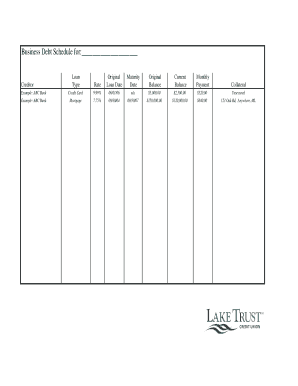 Business Debt Schedule Template