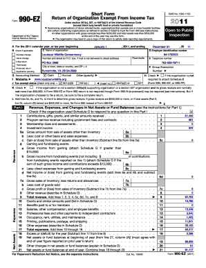 Form 990-EZ Tax Return