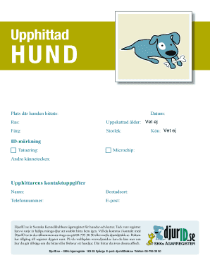 Found Dog Report