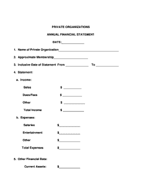 Private Organization Annual Financial Statement