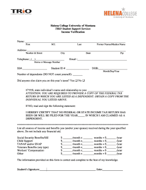 Income Verification Form
