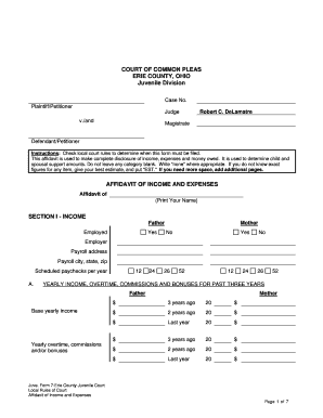 Juve Form 7-Affidavit of Income and Expenses