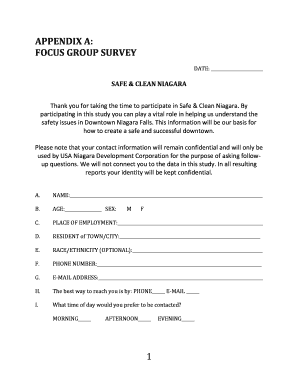 Focus Group Survey on Downtown Niagara Falls Safety