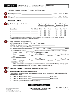 Child Custody and Visitation Order