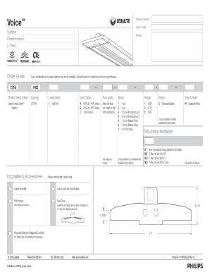 Voice Surface Lighting Order Guide