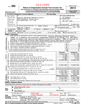 Form 990 2013