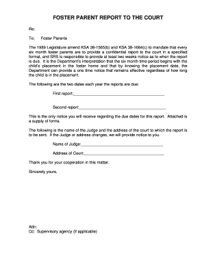 Foster Parent Report to the Court
