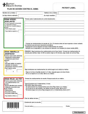 Plan de Acción Contra el Asma