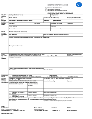 Business Travel Insurance Damage Report