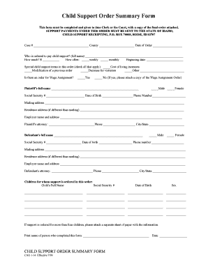 Child Support Order Summary Form