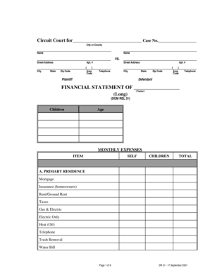 Financial Statement for Child Support