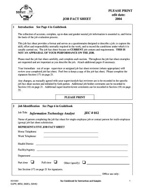 Job Fact Sheet for Information Technology Analyst