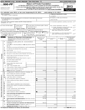 Form 990-PF 2013