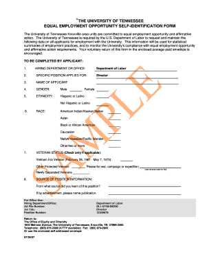 University of Tennessee Equal Employment Opportunity Self-Identification Form