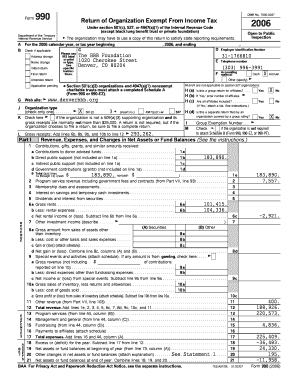 Form 990 2006