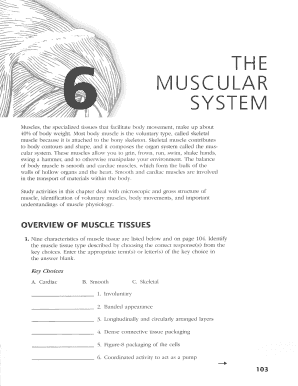 Anatomy Physiology Muscular System Workbook