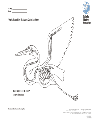 Bird Skeleton Coloring Sheet