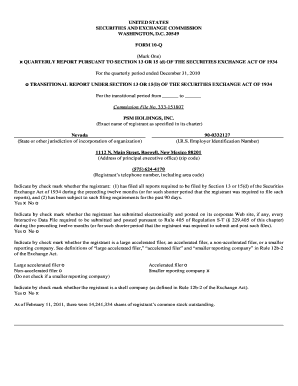 Form 10-Q Quarterly Report