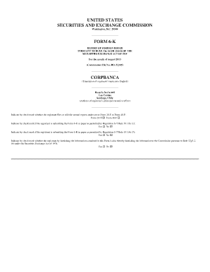 Form 6-K Report of Foreign Issuer