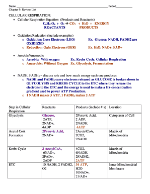 Cellular Respiration Review Worksheet
