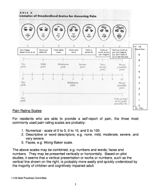Geriatric Pain Assessment Form