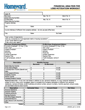 Loss Mitigation Workout Form