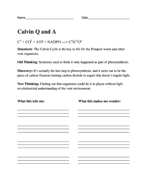Calvin Cycle Worksheet
