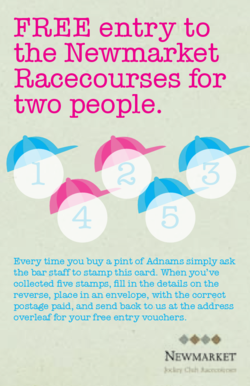 Adnams Racecourse Entry Voucher Card