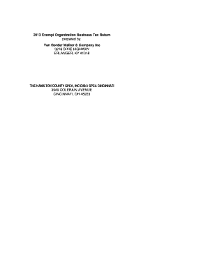 IRS Form 990 2013