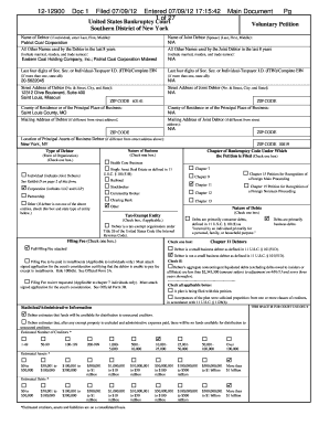 US Bankruptcy Voluntary Petition