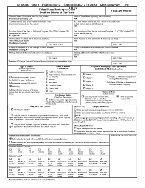 US Bankruptcy Voluntary Petition