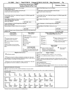US Bankruptcy Court Voluntary Petition