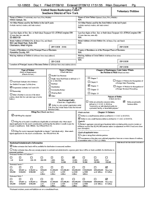 US Bankruptcy Voluntary Petition