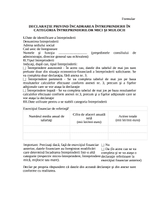 Romanian Business Classification Declaration