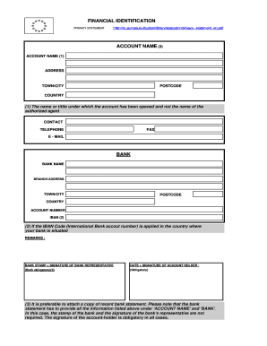 EU Financial Identification Form