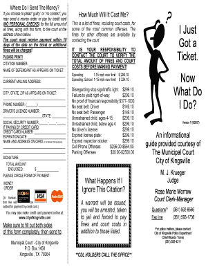 Traffic Fine Payment Form