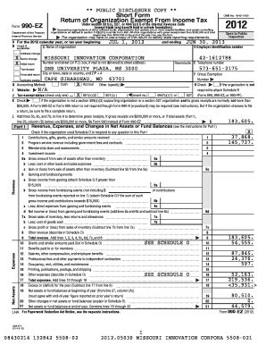 Form 990-EZ Tax Return