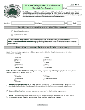 Ethnicity and Race Reporting Form